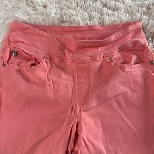 Belle by Kim Gravel Coral Garment